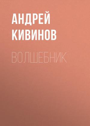 Обложка книги «Волшебник» — Андрей Кивинов