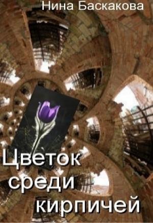 Обложка книги «Цветок среди кирпичей» — Нина Баскакова