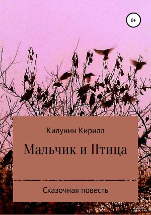 Обложка книги «Мальчик и Птица» — Кирилл Килунин