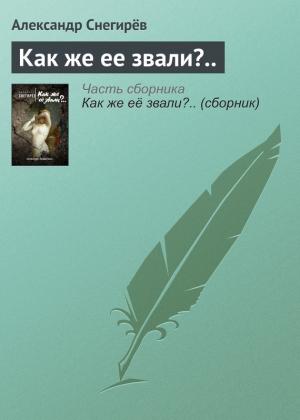 Обложка книги «Как же ее звали?..» — Александр Снегирев