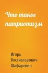Игорь Шафаревич - Что такое патриотизм