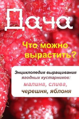 Обложка книги «Что можно вырастить? Энциклопедия выращивания ягодных кустарников: малина, слива, черешня, яблоня» — Илья Мельников
