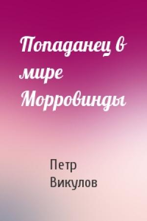 Обложка книги «Попаданец в мире Морровинды» — Петр Викулов