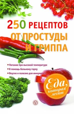 Обложка книги «250 рецептов от простуды и гриппа» — Виктор Ильин
