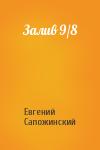 Евгений Сапожинский - Залив 9/8