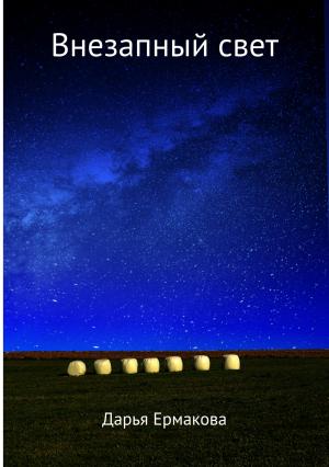 Обложка книги «Внезапный свет» — Дарья Ермакова