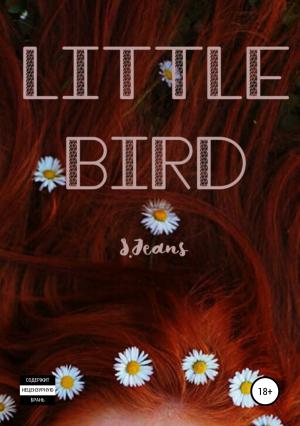 Обложка книги «Little Bird» — S. Jeans