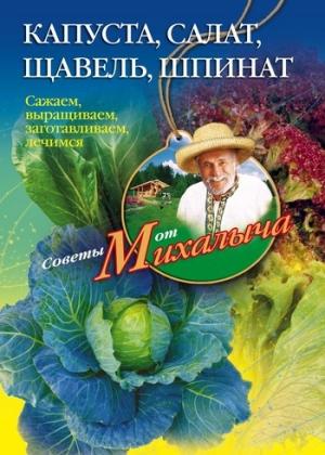 Обложка книги «Капуста, салат, щавель, шпинат. Сажаем, выращиваем, заготавливаем, лечимся» — Николай Звонарев