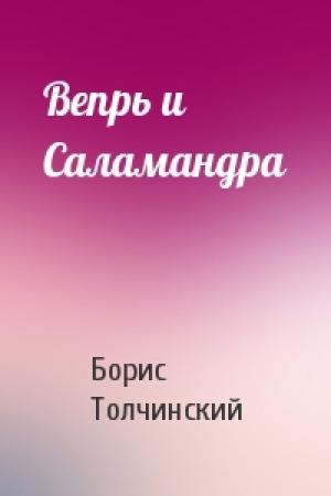 Обложка книги «Вепрь и Саламандра» — Борис Толчинский