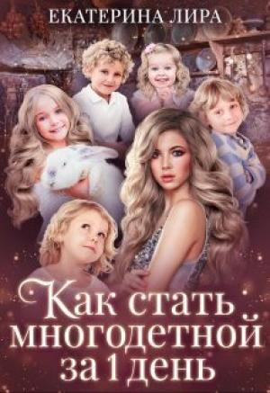 Обложка книги «Как стать многодетной за один день» — Екатерина Лира