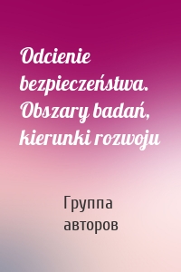 Odcienie bezpieczeństwa. Obszary badań, kierunki rozwoju