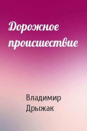 Обложка книги «Дорожное происшествие» — Владимир Дрыжак