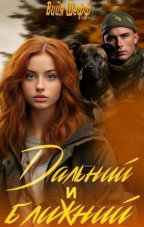 Обложка книги «Дальний и Ближний» — Вийя Шефф