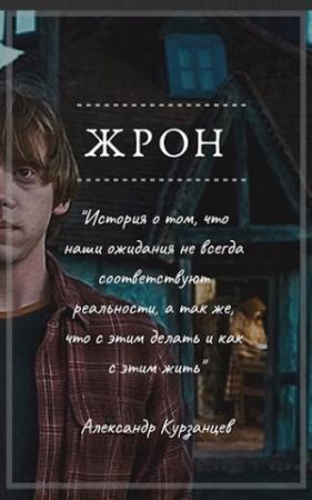 Обложка книги «Жрон» — Курзанцев Александр