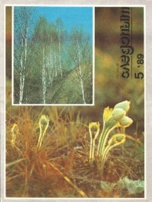 Обложка книги «Жук в муравейнике (киносценарий)» — Аркадий Стругацкий, Борис Стругацкий