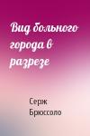 Серж Брюссоло - Вид больного города в разрезе