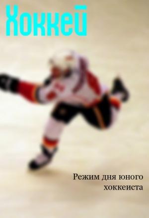 Обложка книги «Режим дня юного хоккеиста» — Илья Мельников