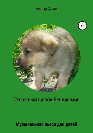 Обложка книги «Отважный щенок Бенджамин. Музыкальная пьеса для детей» — Елена Атай