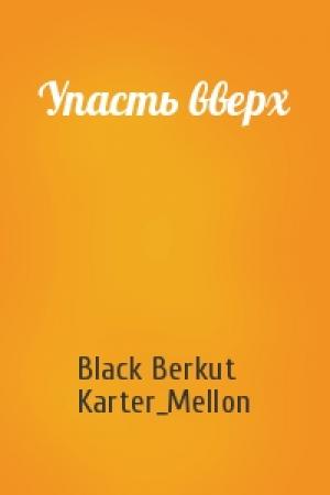 Обложка книги «Упасть вверх» — Black Berkut, Karter_Mellon