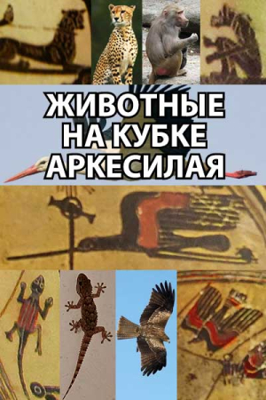 Обложка книги «Животные на кубке Аркесилая» — l_eonid