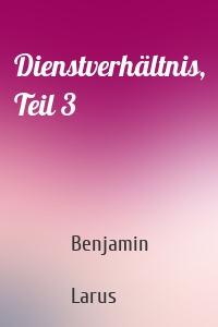 Dienstverhältnis, Teil 3
