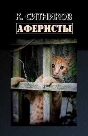 Обложка книги «Аферисты» — Кирилл Ситников