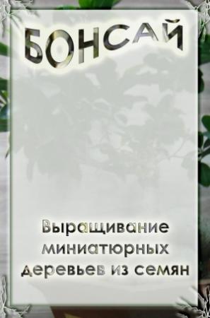 Обложка книги «Выращивание миниатюрных деревьев из семян» — Илья Мельников