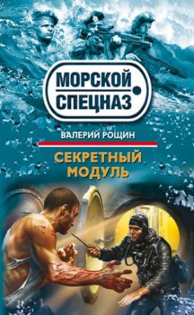 Обложка книги «Секретный модуль» — Валерий Рощин