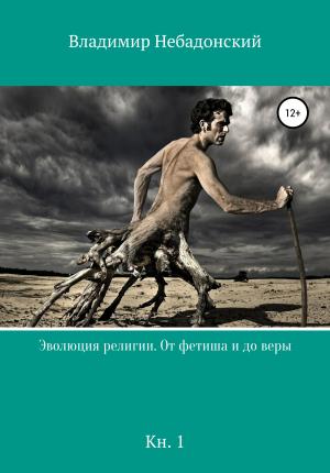 Обложка книги «Эволюция религии. От фетиша и до веры» — Владимир Небадонский