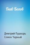 Дмитрий Пушкарь, Семен Чарный - Гнев Богов