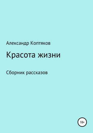 Обложка книги «Красота жизни. Сборник рассказов» — Александр Коптяков