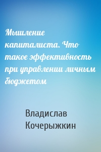 Мышление капиталиста. Что такое эффективность при управлении личным бюджетом