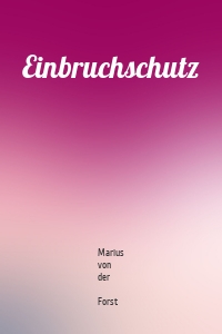 Einbruchschutz