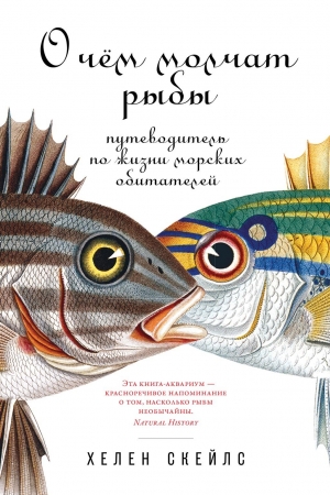 Обложка книги «О чём молчат рыбы. Путеводитель по жизни морских обитателей» — Хелен Скейлс