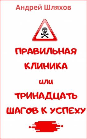 Обложка книги «Правильная клиника, или 13 шагов к успеху» — Андрей Шляхов