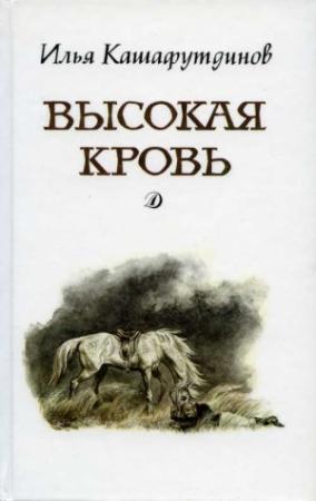 Обложка книги «Высокая кровь» — Ильгиз Кашафутдинов