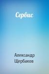Александр Щербаков - Сервис