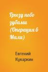 Евгений Кукаркин - Грызу небо зубами (Операция в Мали)