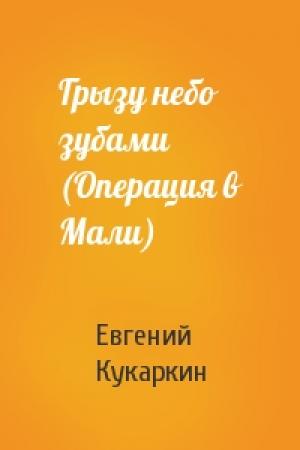 Обложка книги «Грызу небо зубами (Операция в Мали)» — Евгений Кукаркин