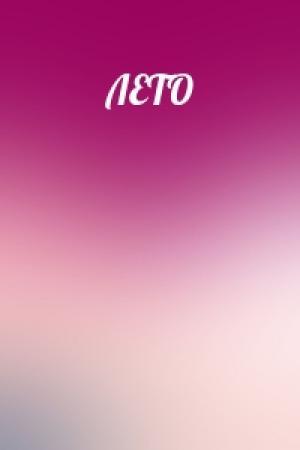 Обложка книги «ЛЕТО»