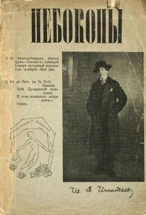 Обложка книги «Небокопы» — Василиск Гнедов, Анастасия Чеботаревская, Виктор Ховин