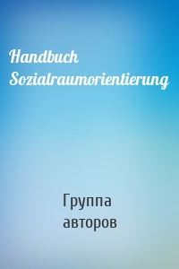 Handbuch Sozialraumorientierung