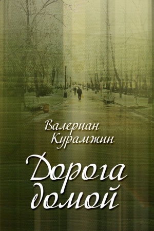 Обложка книги «Дорога домой (сборник)» — Валериан Курамжин