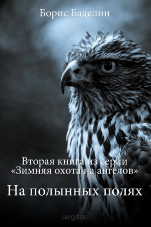 Обложка книги «На полынных полях» — Борис Баделин