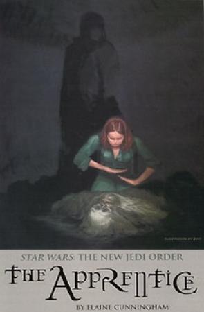 Обложка книги «Ученица» — Элейн Каннингем