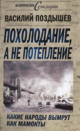 Обложка книги «Похолодание, а не потепление» — Василий Поздышев