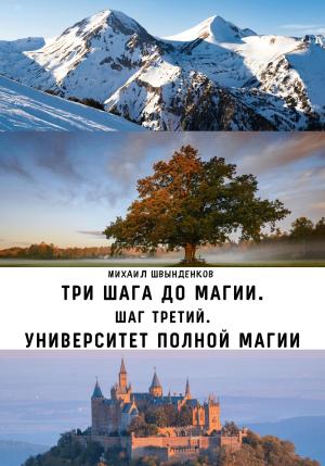 Обложка книги «Шаг третий. Университет Полной Магии» — Михаил Швынденков