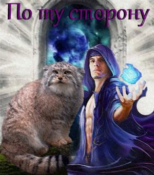 Обложка книги «По ту сторону» — Манул Яростный