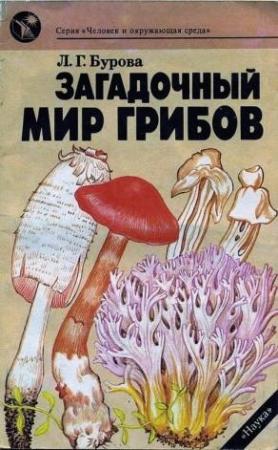 Обложка книги «Загадочный мир грибов» — Лидия Бурова