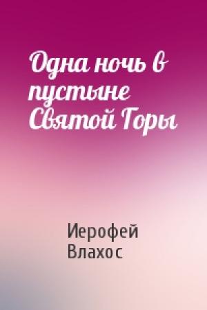 Обложка книги «Одна ночь в пустыне Святой Горы» — Иерофей Влахос